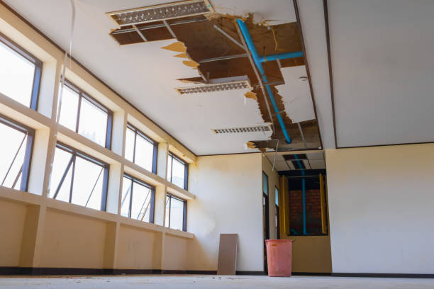 Best Basement water damage restoration  in Onalaska, WI