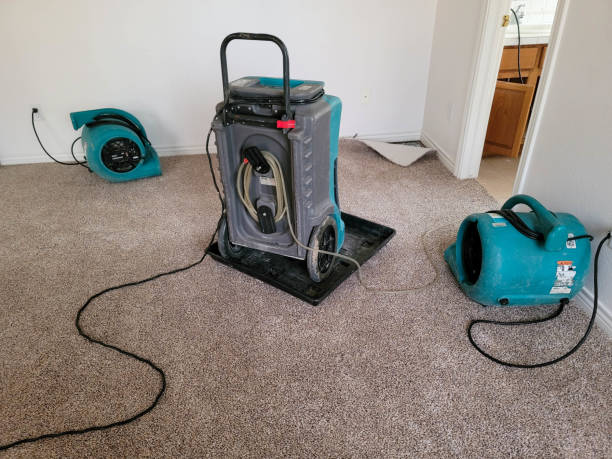 Best Local water damage restoration  in Onalaska, WI