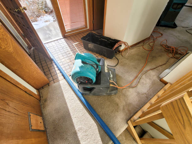 Trusted Onalaska, WI Water damage restoration Experts