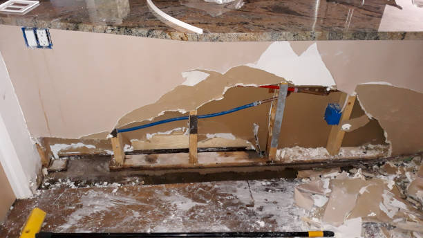 Best Flood damage cleanup  in Onalaska, WI