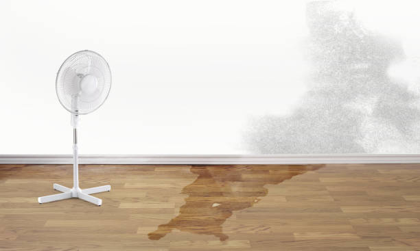 Best Flood restoration services  in Onalaska, WI