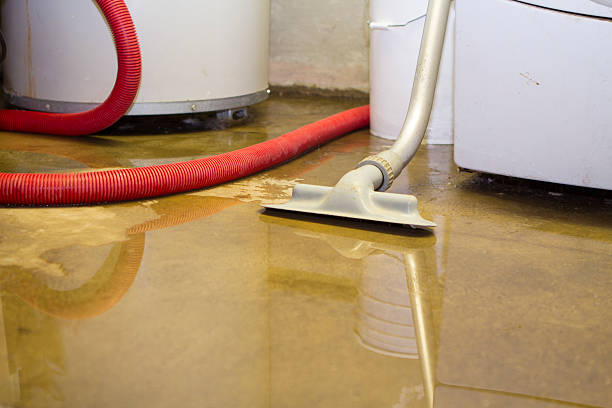 Best Sewage cleanup and water damage restoration  in Onalaska, WI