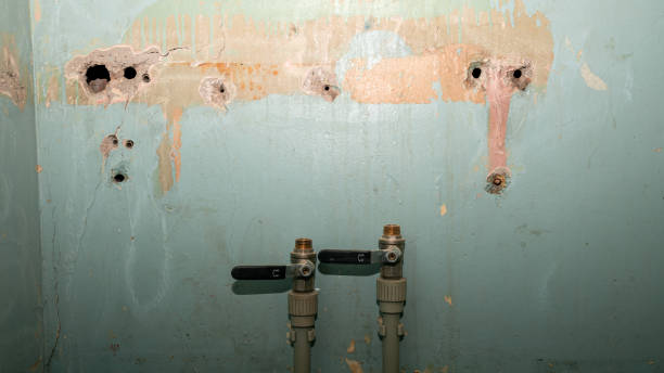 Best Water damage contractors near me  in Onalaska, WI