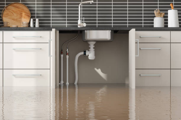Best Basement water damage restoration  in Onalaska, WI